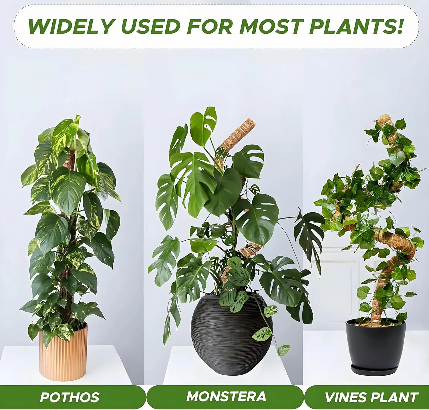 2er-Pack 122 cm Biegbare Moosstange fr Monstera, Rankhilfe fr  Kletterpflanzen, Zimmer- und Gartenpfhle, Blumentopf-Gartenzubehr