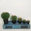 14*12cm-Pot not included