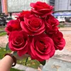 9 amante mei-rosso