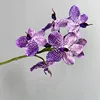 Siéntete hu ji flor semilla de loto