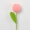 Peach pink-Plump Tulip Stem (Small)