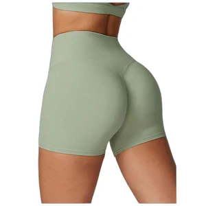 Moisture Control Yoga Shorts Ladies Running Training Athletic Exercise Sports Shorts