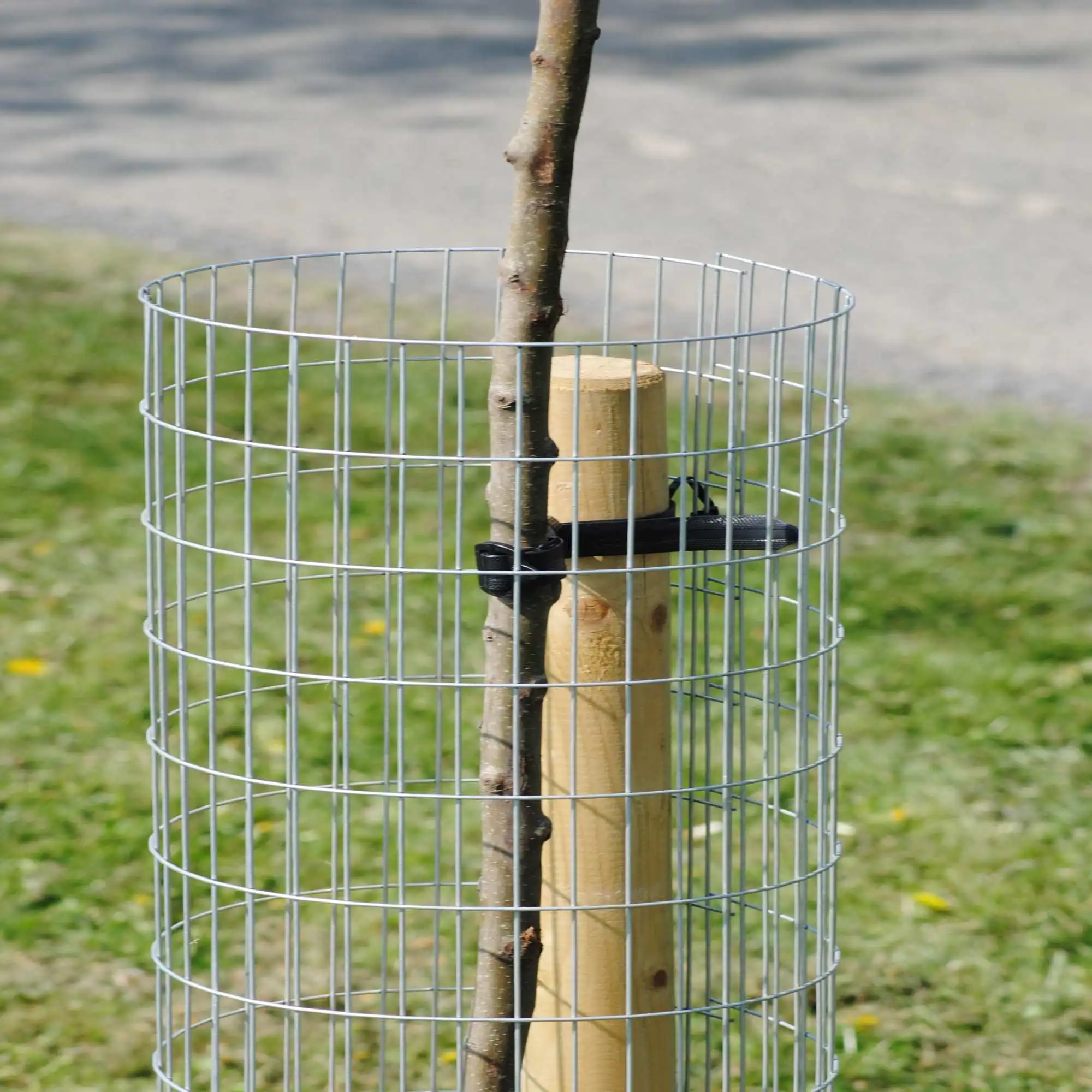 Weldmesh Tree Guard PVC Coated 1x1 Inch 18 Gauge Wire Fence 60x100ft ...