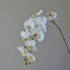 bianco 33