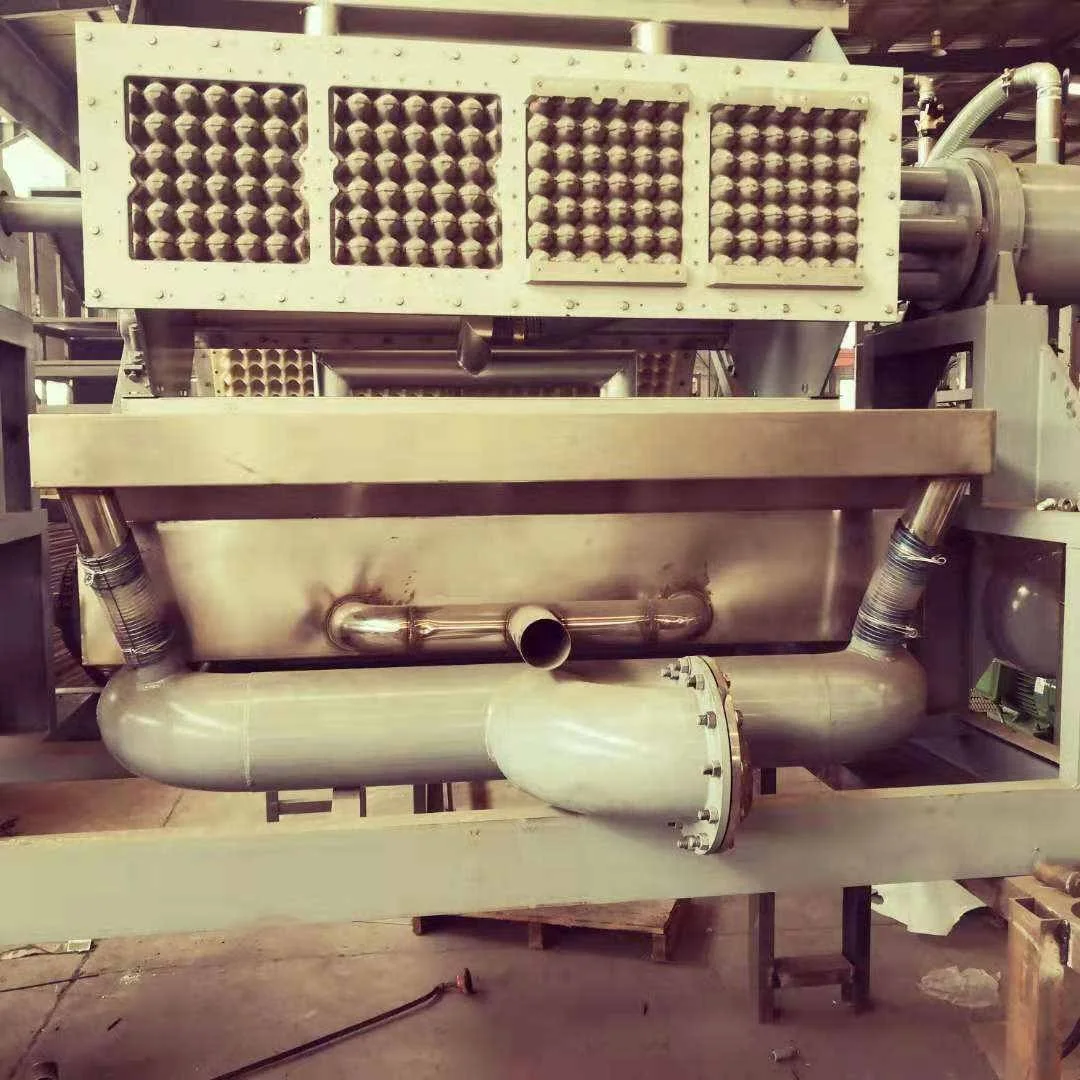  Papel usado de Wanyou que recicla el tipo rotatorio máquina del equipo de la bandeja del huevo con el triturador hidráulico