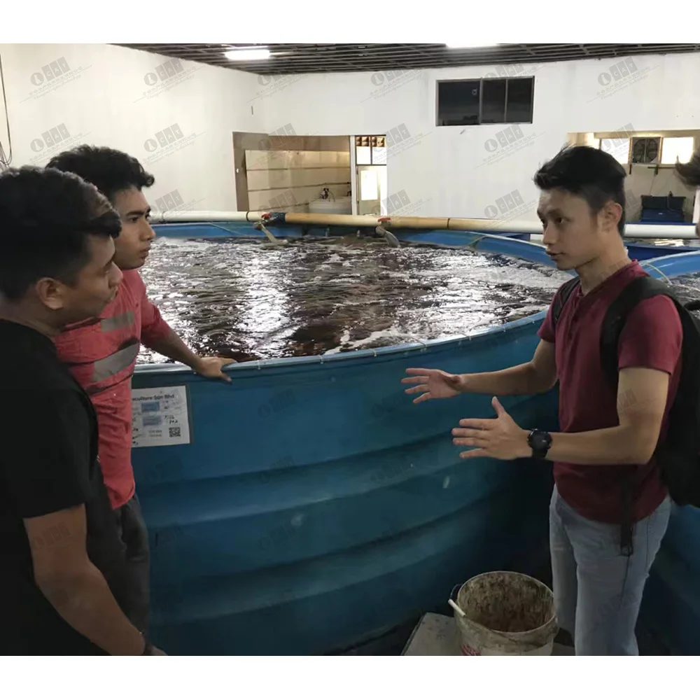 Малазийский проект Tilapia Ras оборудование для рыбоводства система