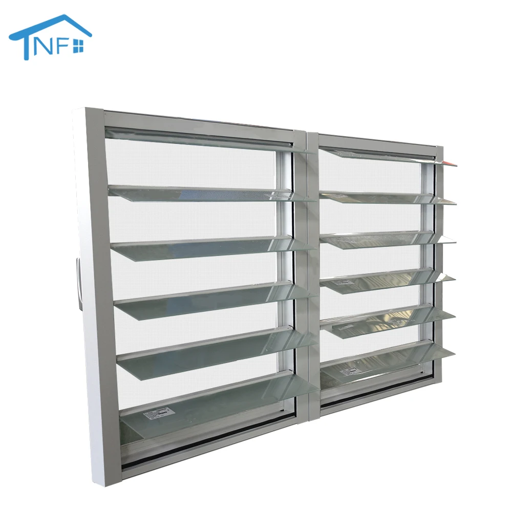 Modern Classic Aluminum Grill Designs Double Louver Jalousie Casement Window Stainless Steel Screen for Villa Living Room