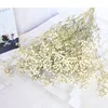 bianco naturale 120 g 50-60 cm