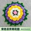 Argent de chrysanthème violet