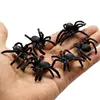 pequeña araña negra