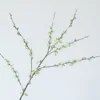 Fresca piantina di biancospino in colore bianco, altezza 48 cm