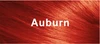Auburn