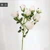 Bianco autunnale