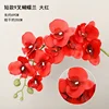 สีแดง