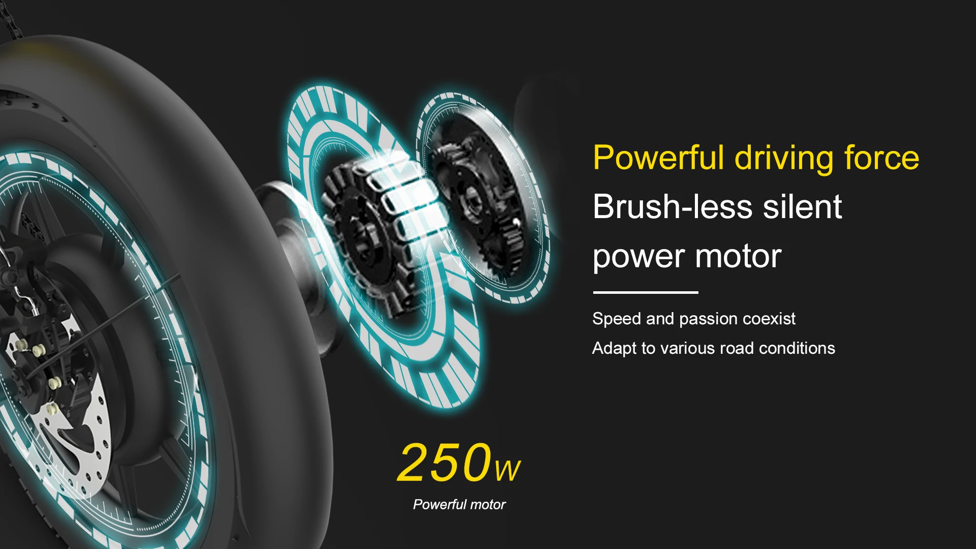 custom yoga wheel