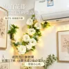 Dragon's Jewel Vine: White Light