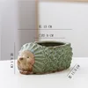 Hedgehog medium