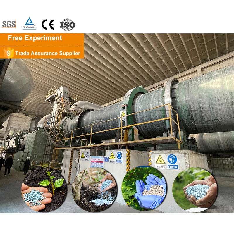 GATE Dissolve Sodium Sulfate and Sodium Chloride Together to Produce Muriate of Potash Fertilizer Mop Fertilizer Machinery