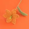 Branches de fleurs de bulbe Orange-Lily