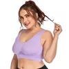 Viola chiaro