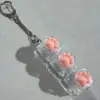 Tres llaves a través de la garra de gato transparente de silicona