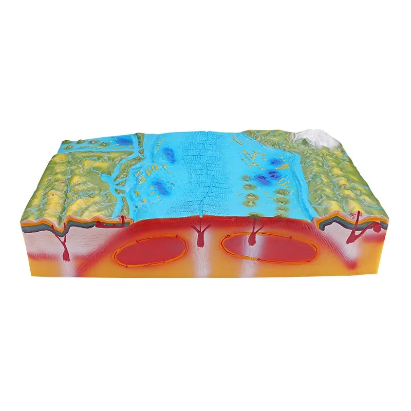Earth Surface Morphology & Plate Tectonics Model for Junior High School ...