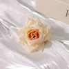 Beige rose head