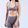 Ceniza de hongo
