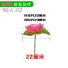 Les feuilles de lotus approfondissent les fleurs de lotus roses