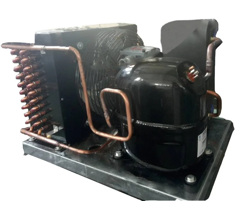 Condensing Unit for Cold Room Storage TAG2516ZBR R404A Compressor 4HP Low Temperature Cold Room air Cooled Condensing Unit