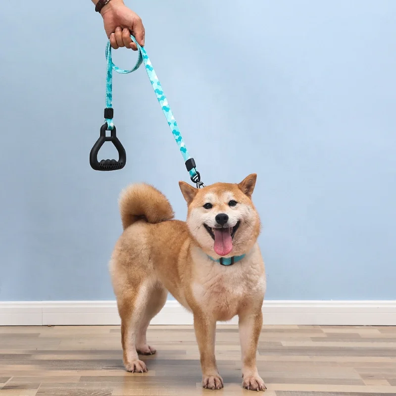 shiba inu leash pull