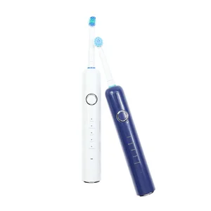Popular Selling Adult Waterproof Rotating Round Head Wireless Rechargeable Toothbrush Electric Wholesale