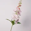 Pink white
