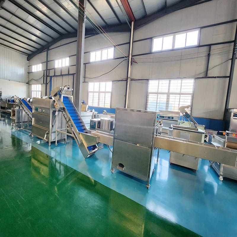 DY 1000kg/h Onion Peeling Machine - Efficient Processing
