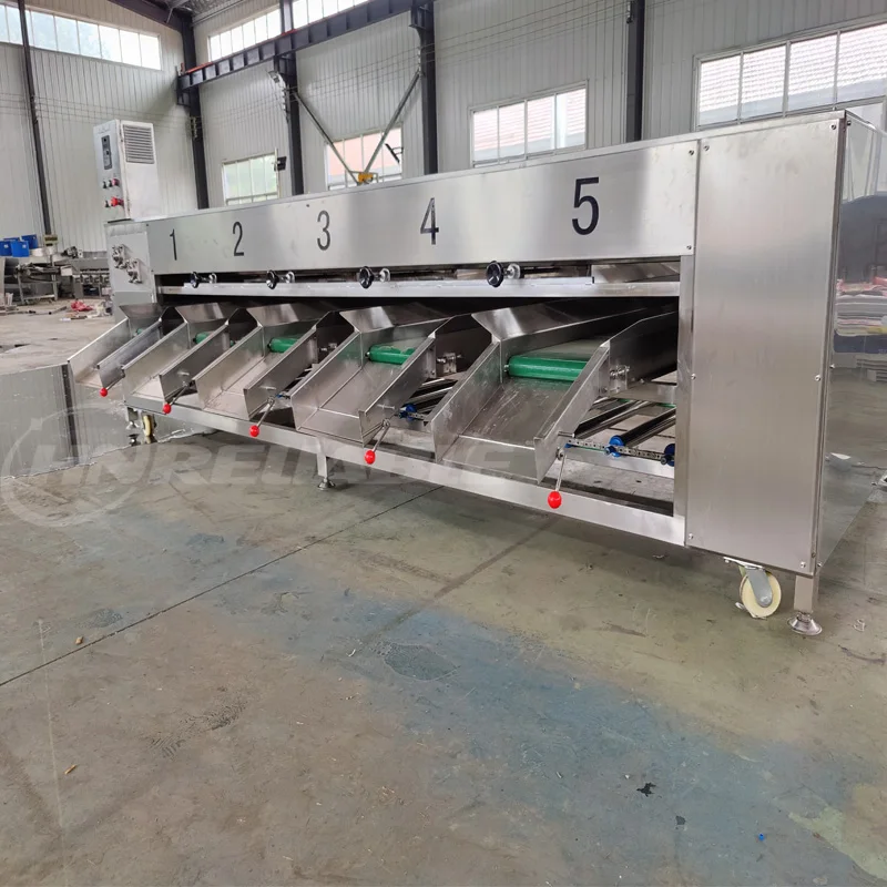 Blueberry Fruit Sorting Grading Machine with Motor Food Grade Stainless Steel 1-3 Tons/Hour Capacity