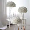 White rose