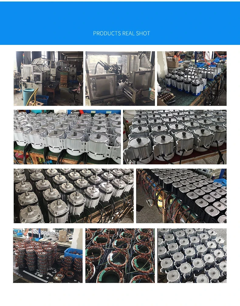 48v 500w Permanent Brushless Dc Motor Climber Motor Low Noise Copper Core Motor Pure