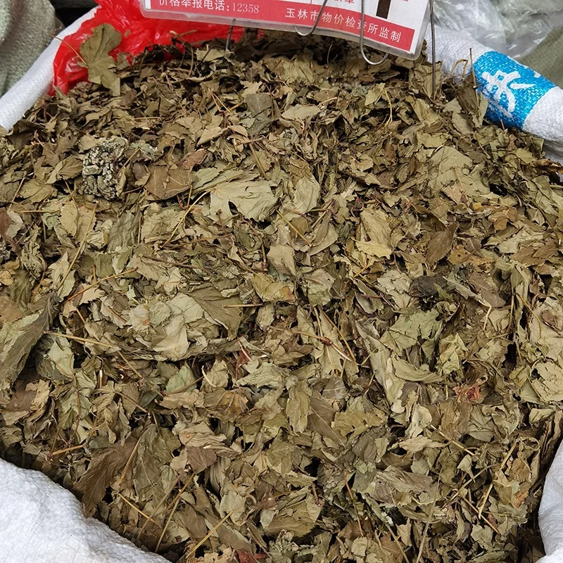Raspberry Leaf Tea Wholesale Raspberry Leaves FU PEN ZI YE