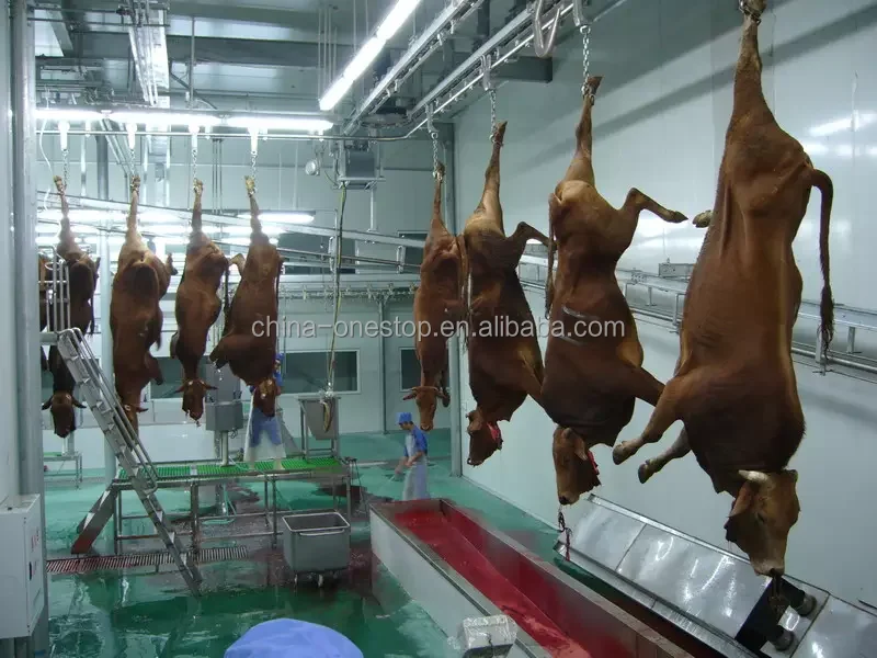 Cow Amazing Killer Box Slaughter Box for Cow Cow and Halal Ceremony