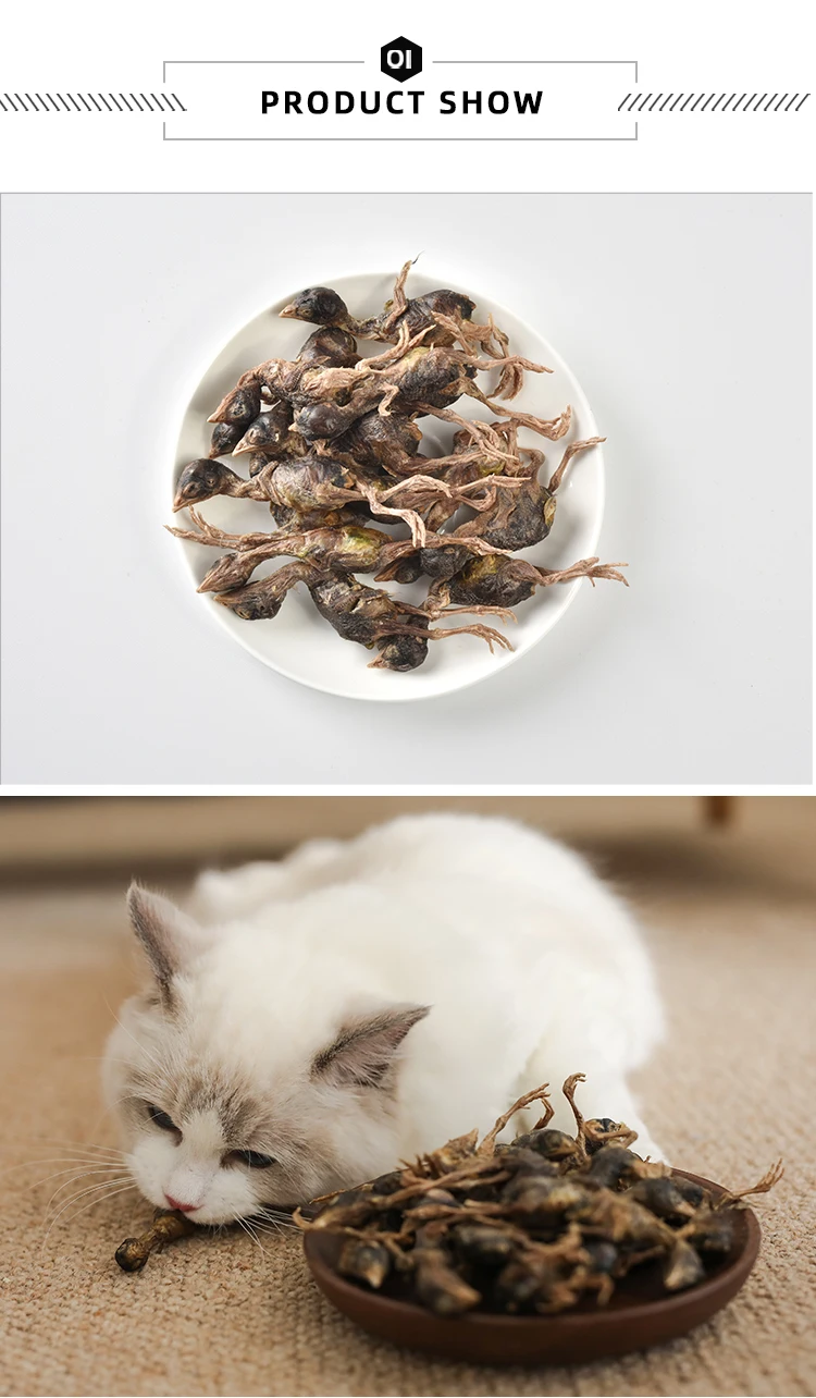 Natural High Protein Snacks Freeze Dried Quail For Cat Dogs Toy Chews