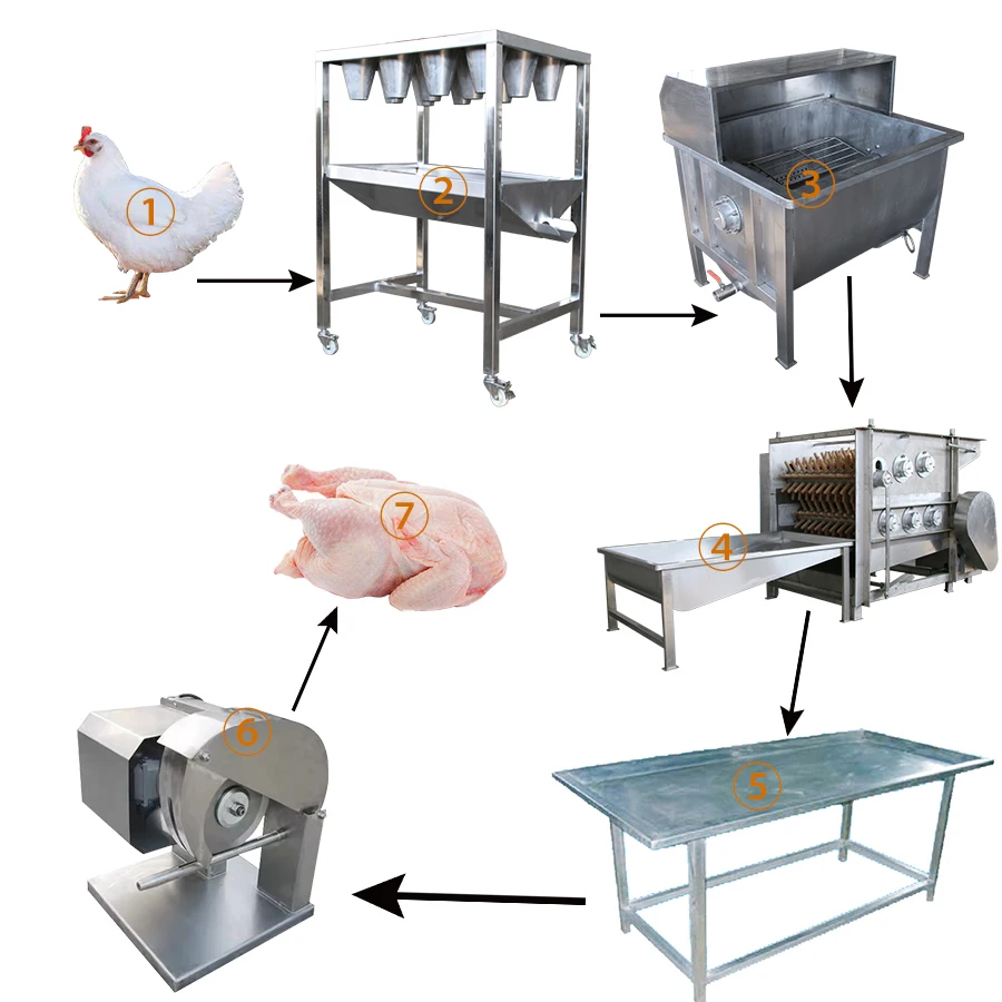 Small Capacity Chicken Slaughter With Boiler Chicken Meat Processing Scalder / Chicken Dressing Machine