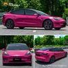 Animale domestico Ultra Gloss Magenta
