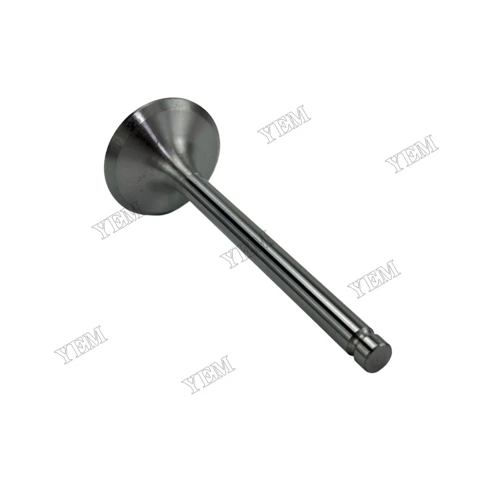 Intake Valve Fit for New Holland SNH4105 Engine 6