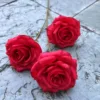 3 têtes de soleil rose rouge