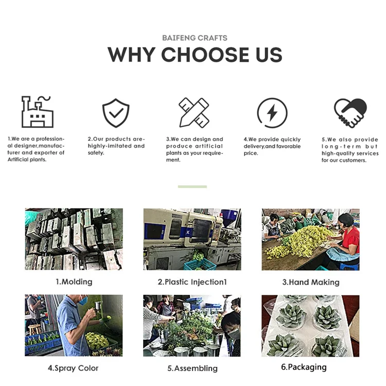 Huizhou Baifeng Crafts Co., Ltd. 3