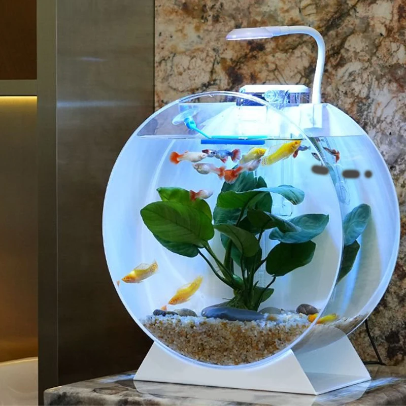 Aquarium Accessories Stylish Eco-Friendly Solutions