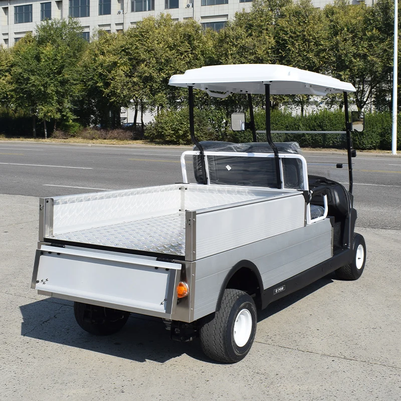 2 Seater With Cargo Box Golf Cart Elektrischgarten Ce Approved Golf