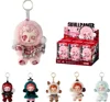 Peluche SKULLPANDA Winter Symphony Series 6 boîtes/ensemble