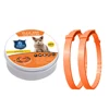 Orange Cat