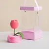 Rosa #4